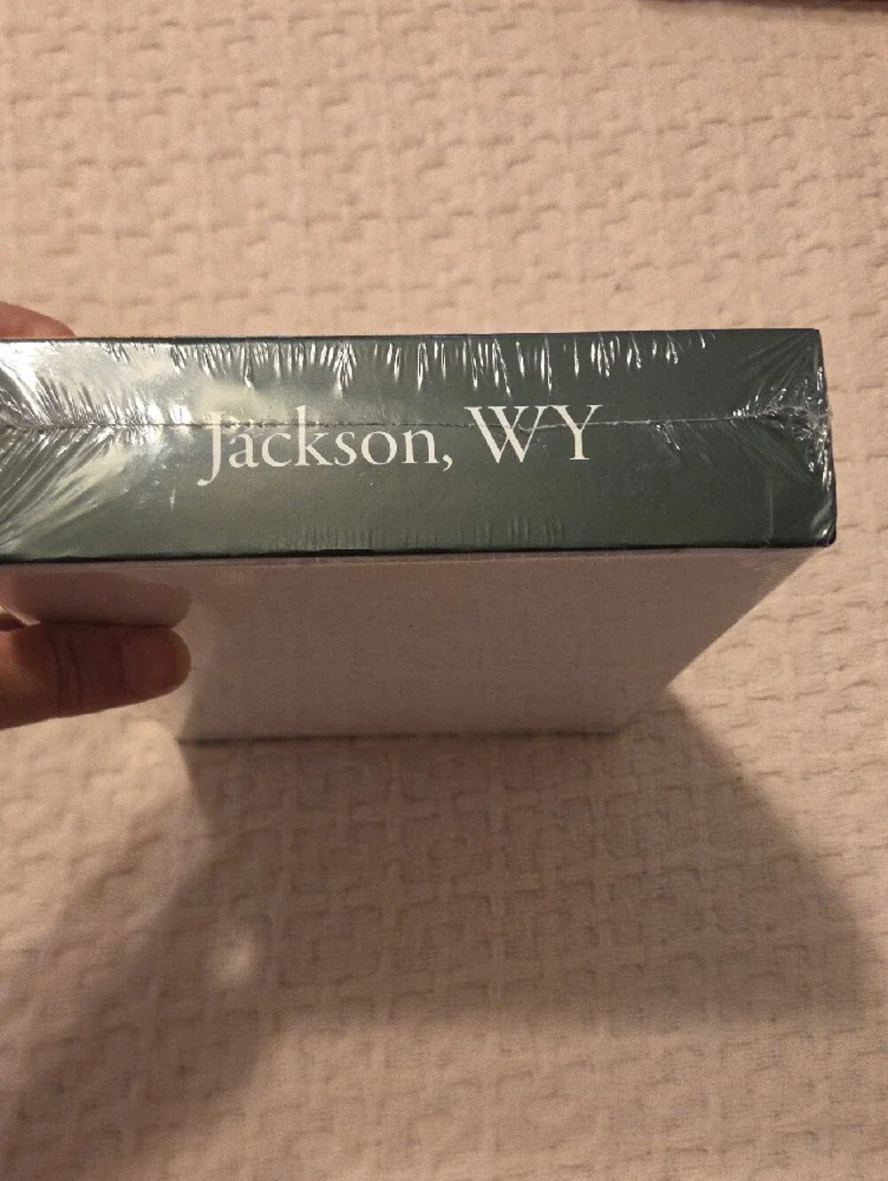 500 Piece Puzzle Scenic Mountain & Bison Jackson Wyoming- Blue and Brown